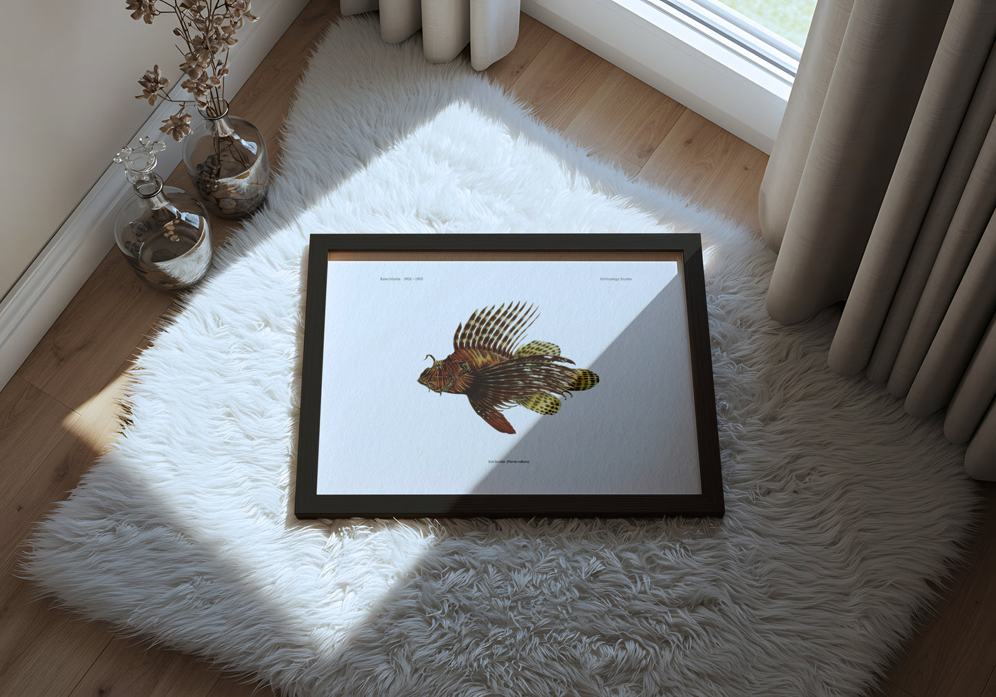 Red Lionfish | 1902–1903