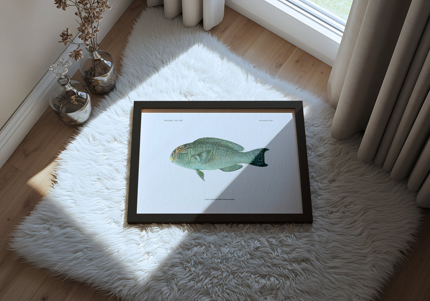 Pacific Slopehead Parrotfish | 1902–1903