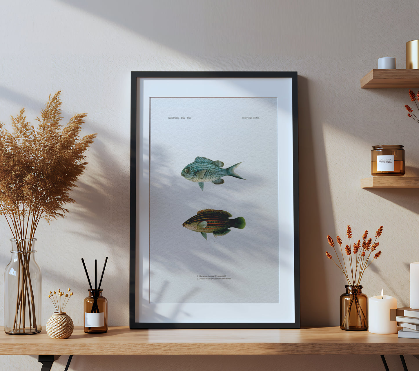 Blue-Green Chromis and Six-Line Wrasse | 1902–1903