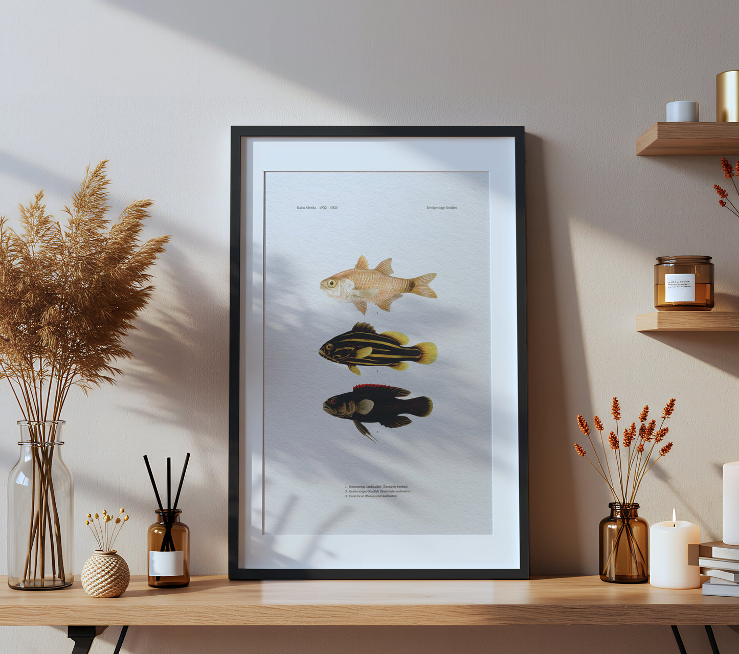 Shimmering Cardinalfish, Goldenstriped Soapfish and Coral Devil | 1902–1903