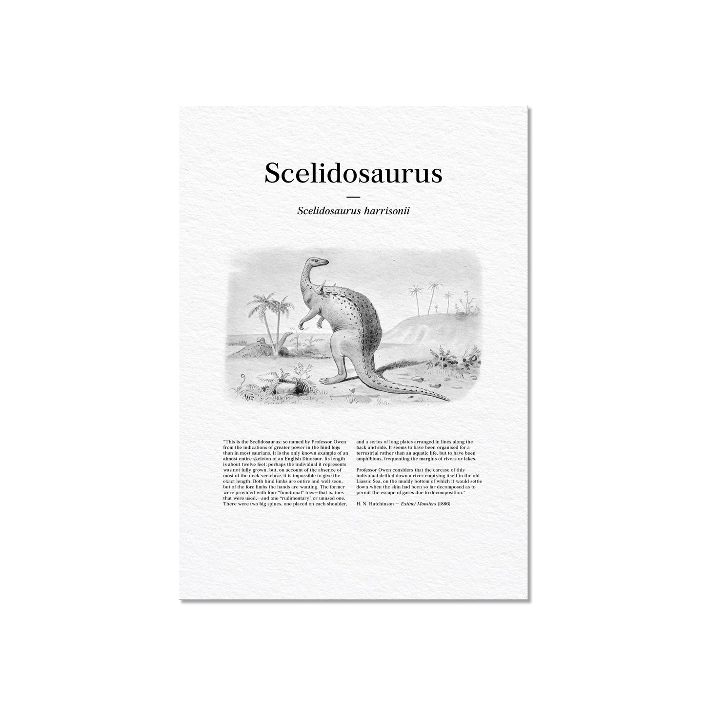 Scelidosaurus | 1896