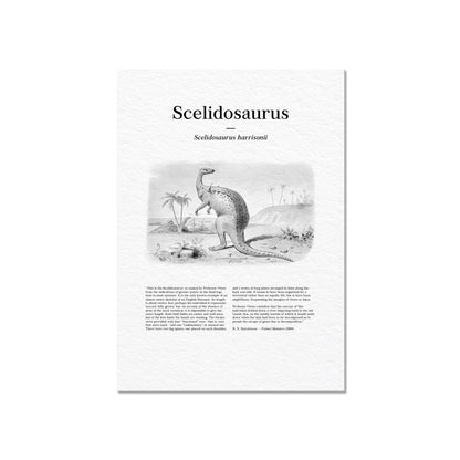 Scelidosaurus | 1896