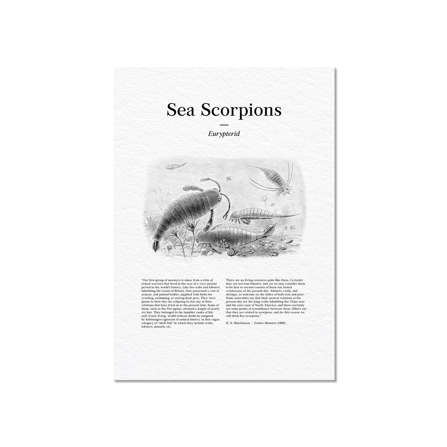 Sea Scorpions | 1896