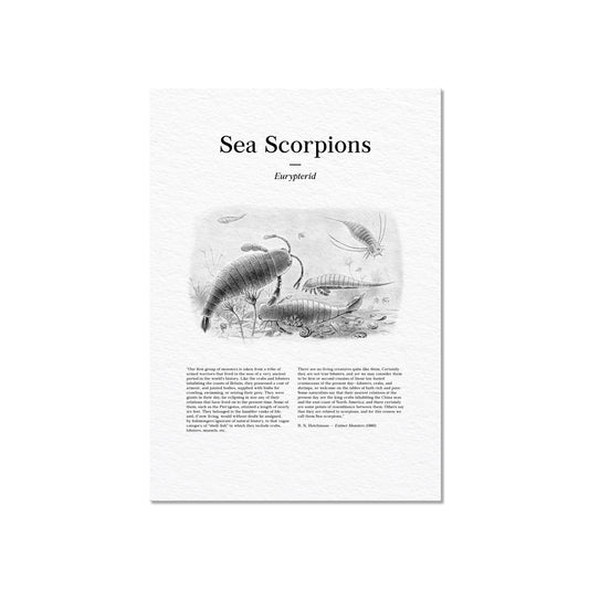 Sea Scorpions | 1896