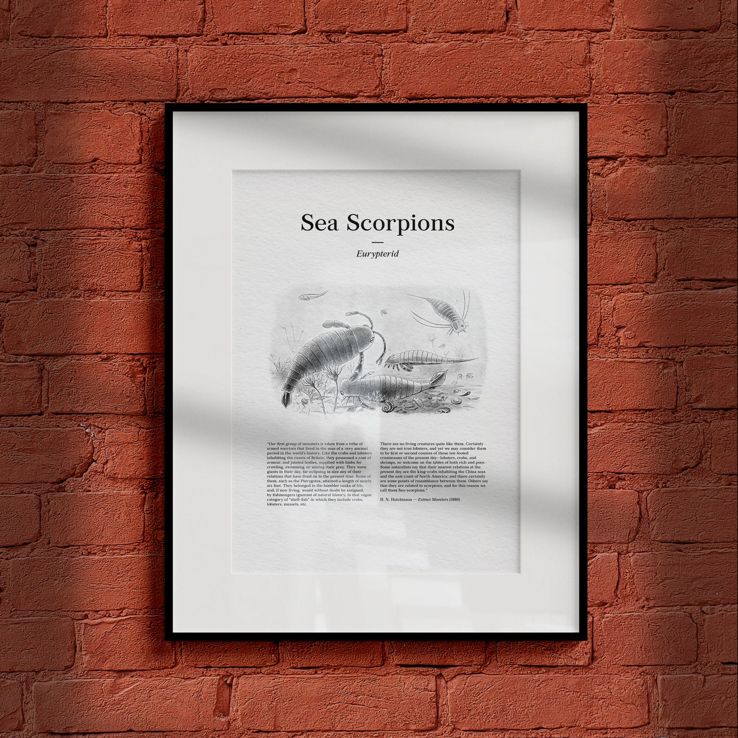 Sea Scorpions | 1896