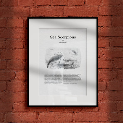 Sea Scorpions | 1896