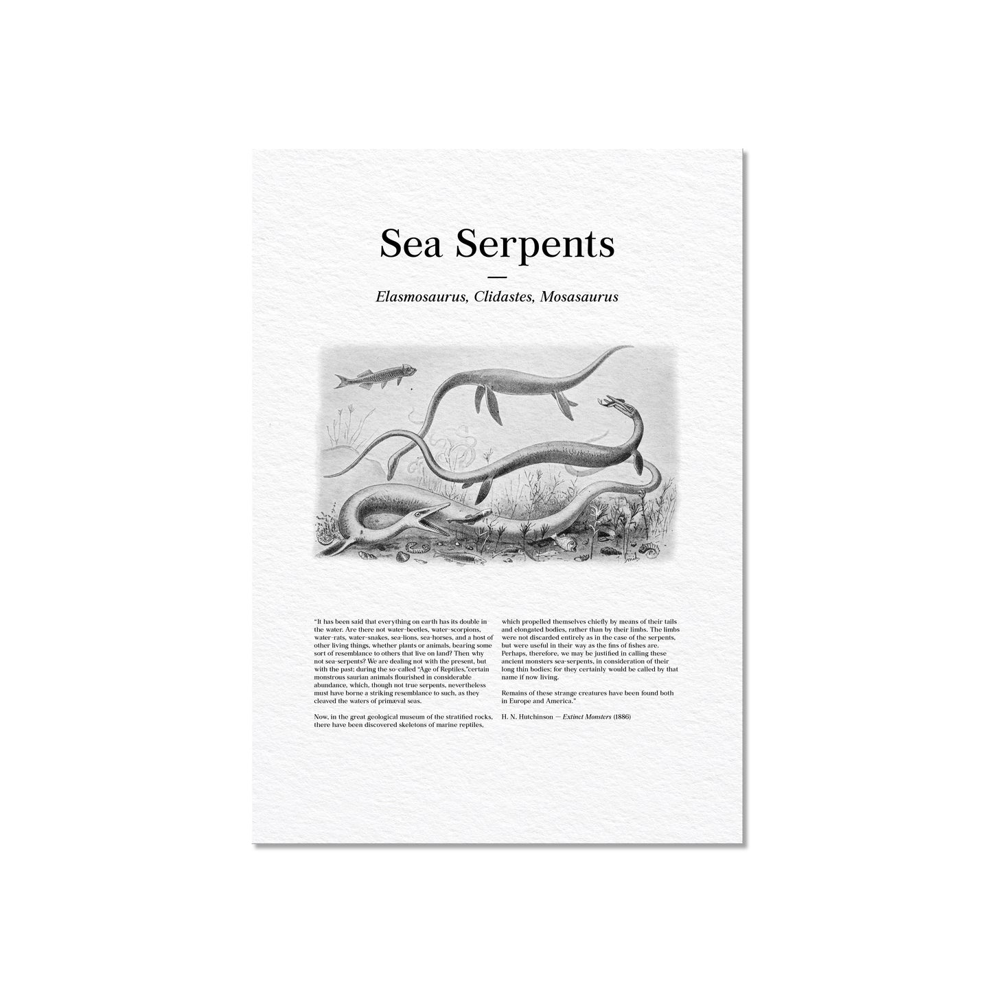 Sea Serpents | 1896
