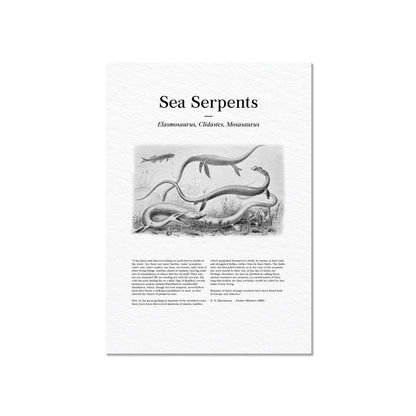 Sea Serpents | 1896
