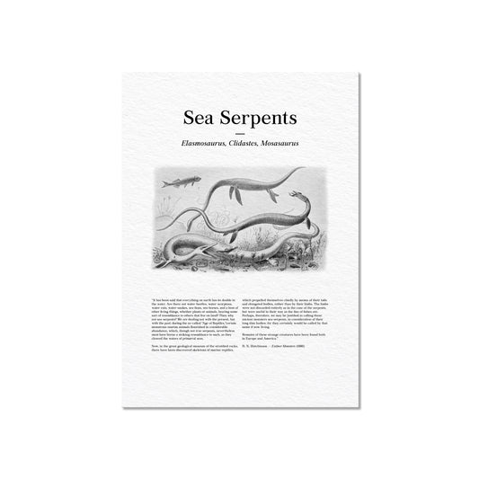 Sea Serpents | 1896