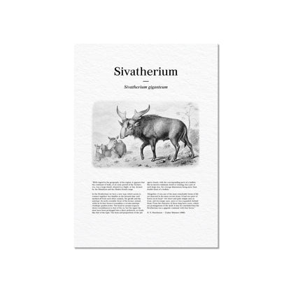 Sivatherium | 1896