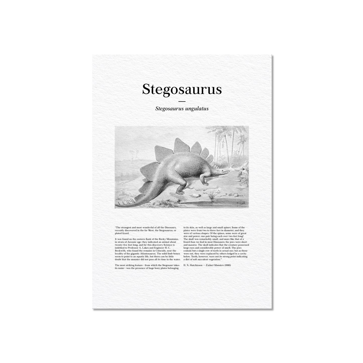 Stegosaurus | 1896