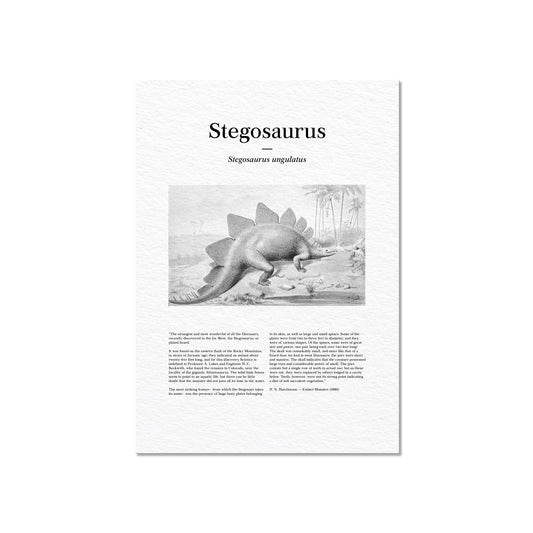 Stegosaurus | 1896