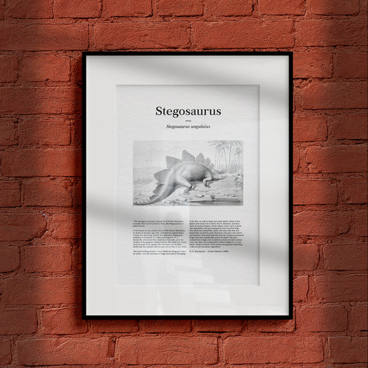 Stegosaurus | 1896