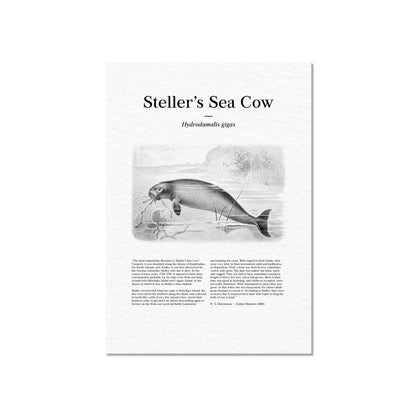 Steller's Sea Cow | 1896