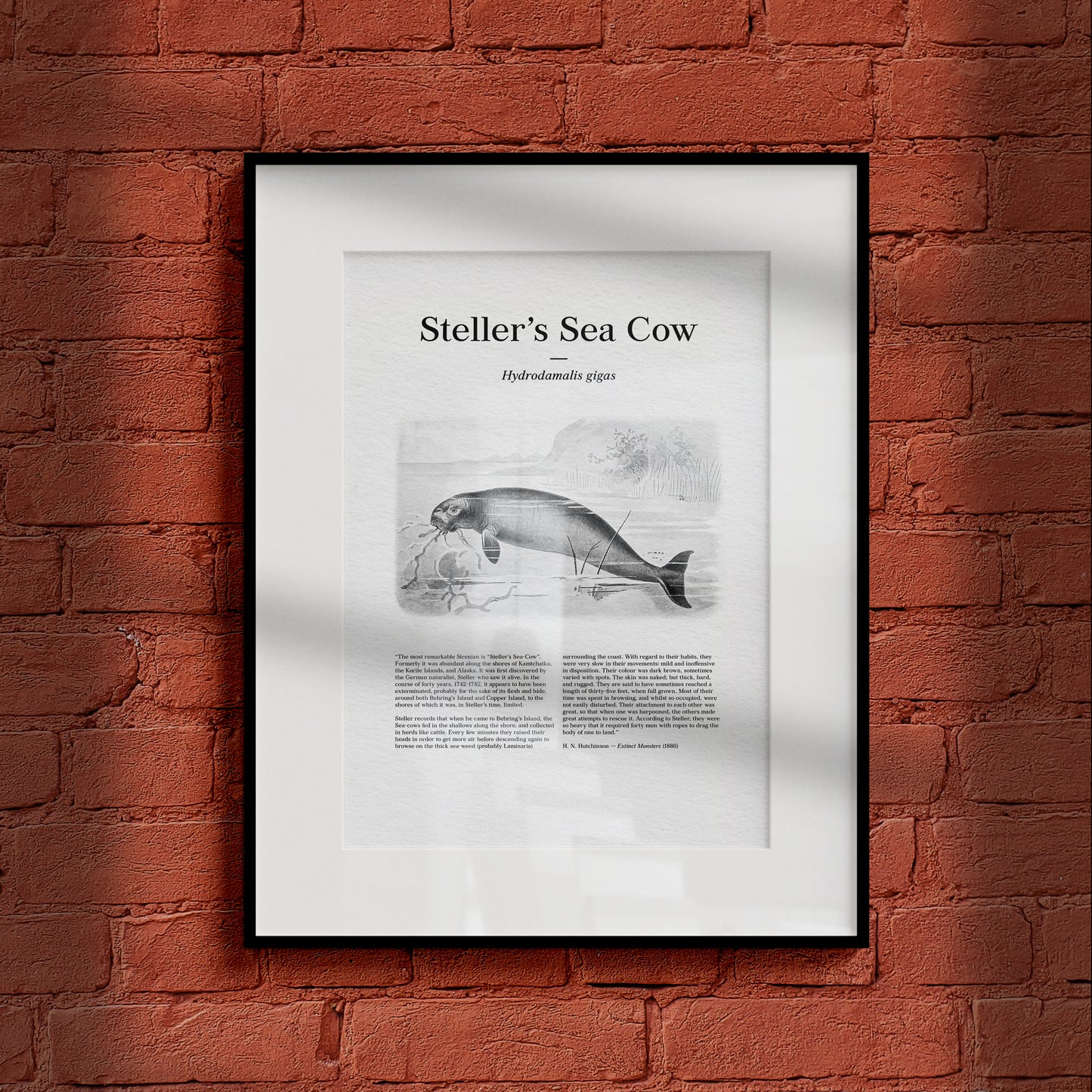 Steller's Sea Cow | 1896