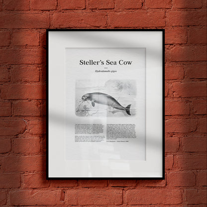 Steller's Sea Cow | 1896