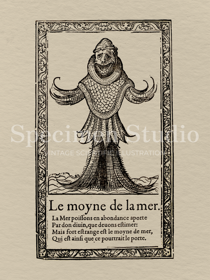 The Sea Monk Vintage Illustration