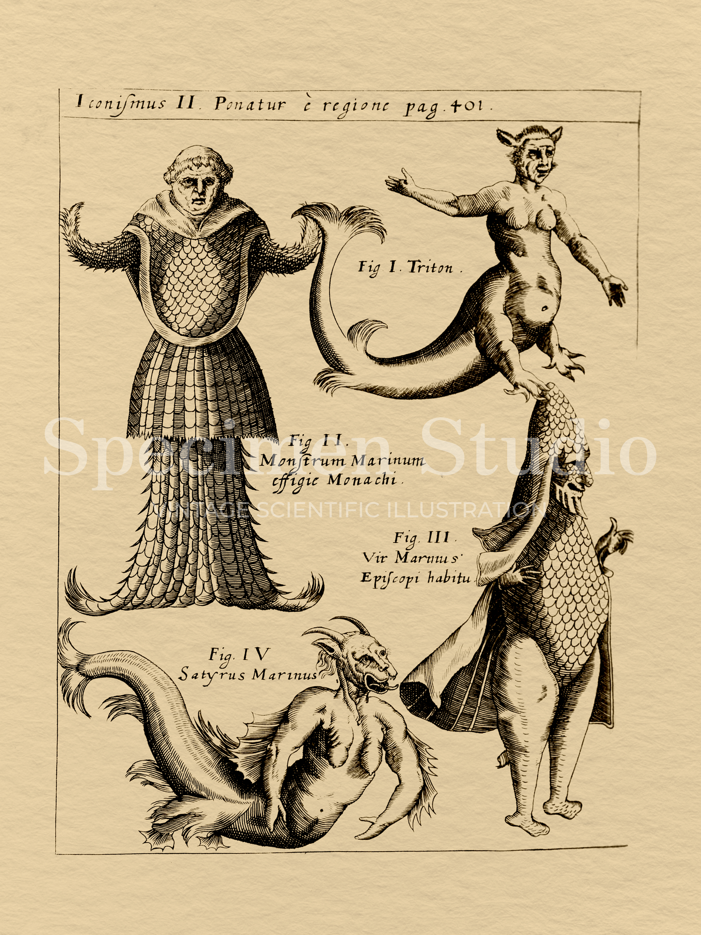 The Sea Monk and Other Mythical Marine Creatures Vintage Illustration