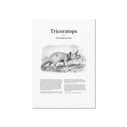 Triceratops | 1896