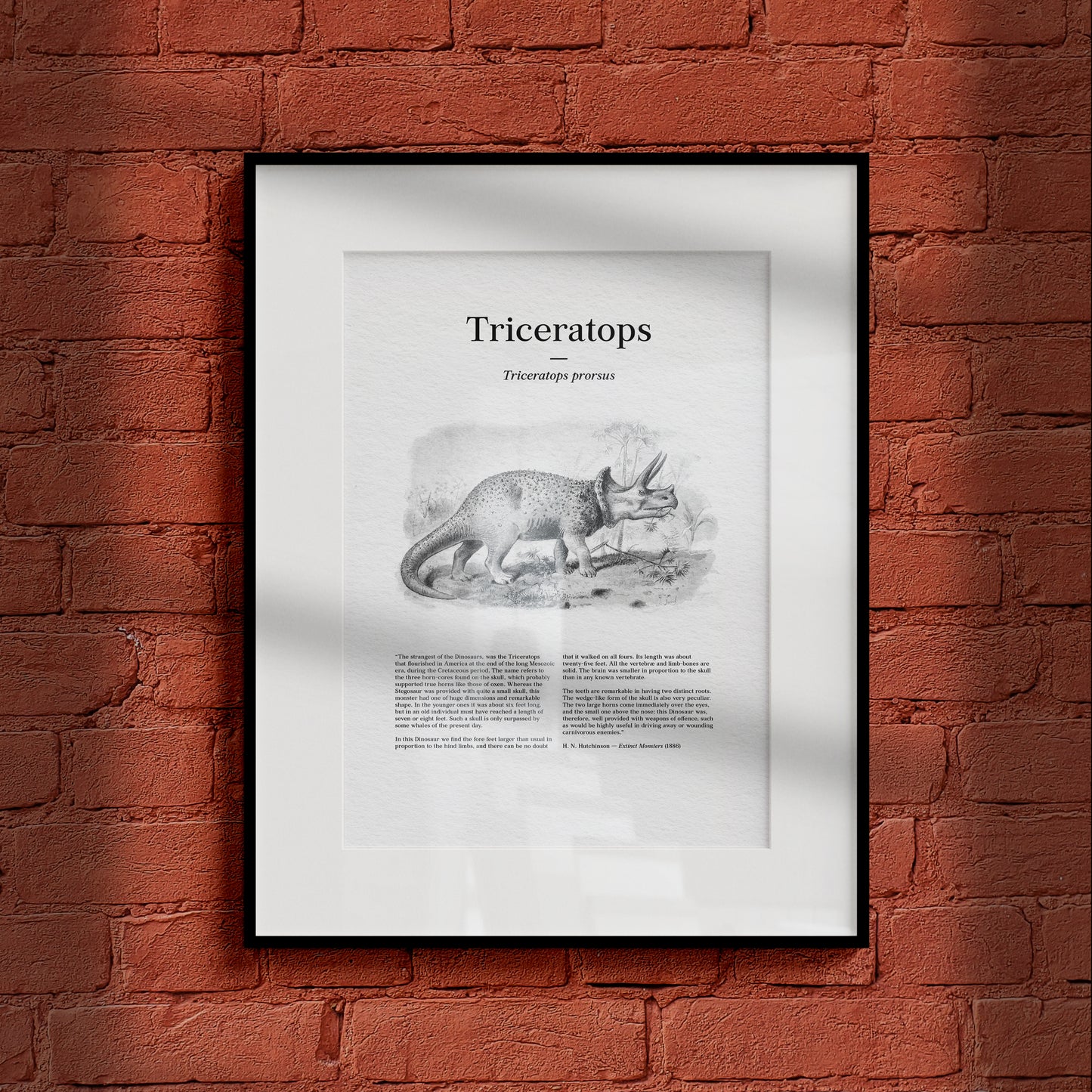 Triceratops | 1896