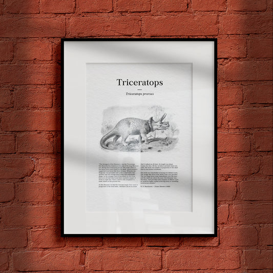 Triceratops | 1896