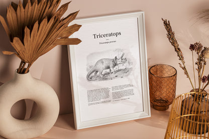 Triceratops | 1896