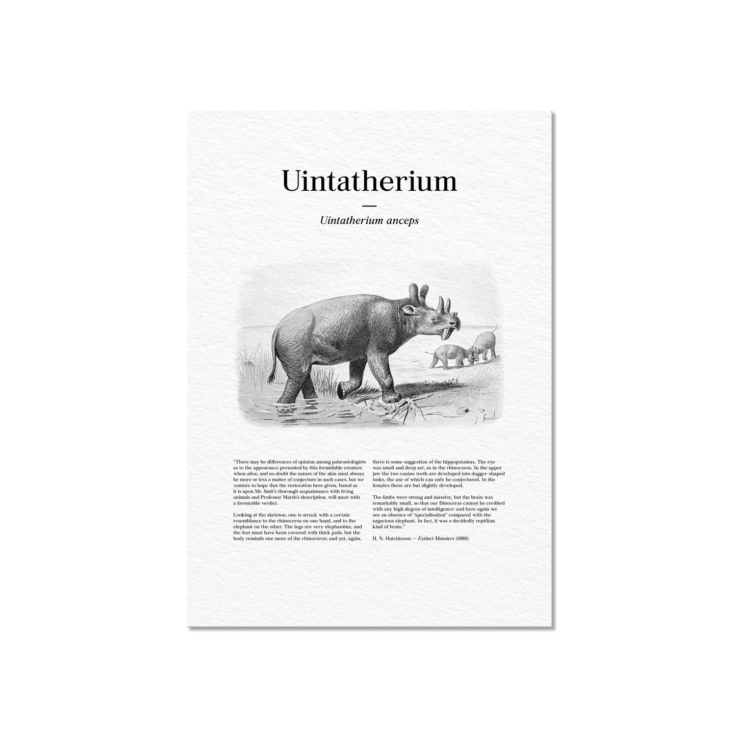 Uintatherium | 1896