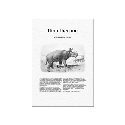 Uintatherium | 1896