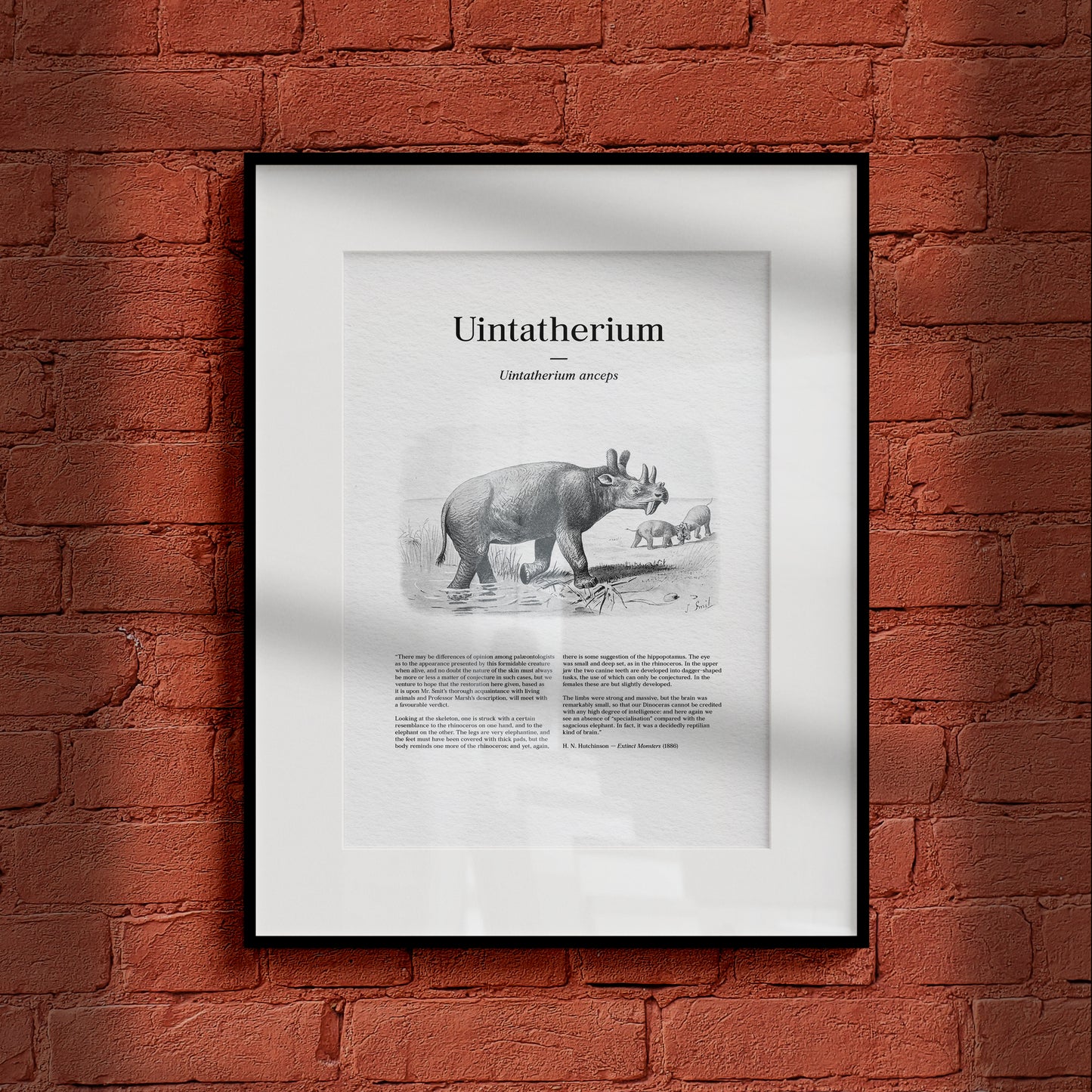 Uintatherium | 1896