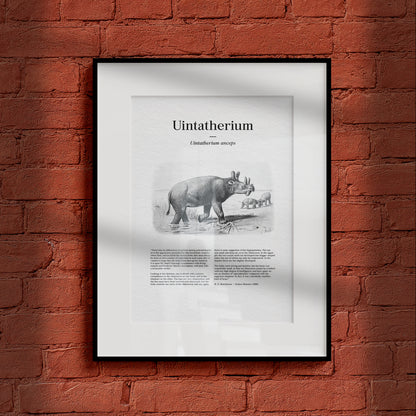 Uintatherium | 1896