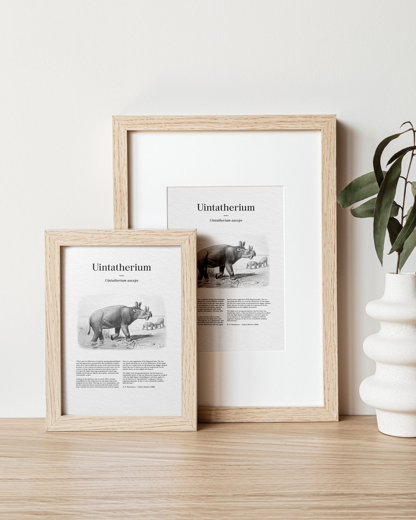 Uintatherium | 1896