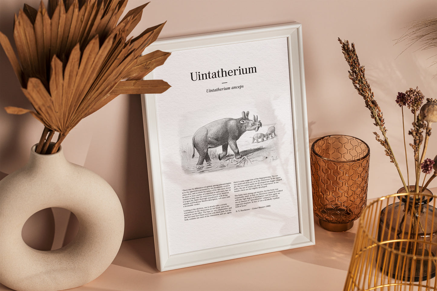 Uintatherium | 1896
