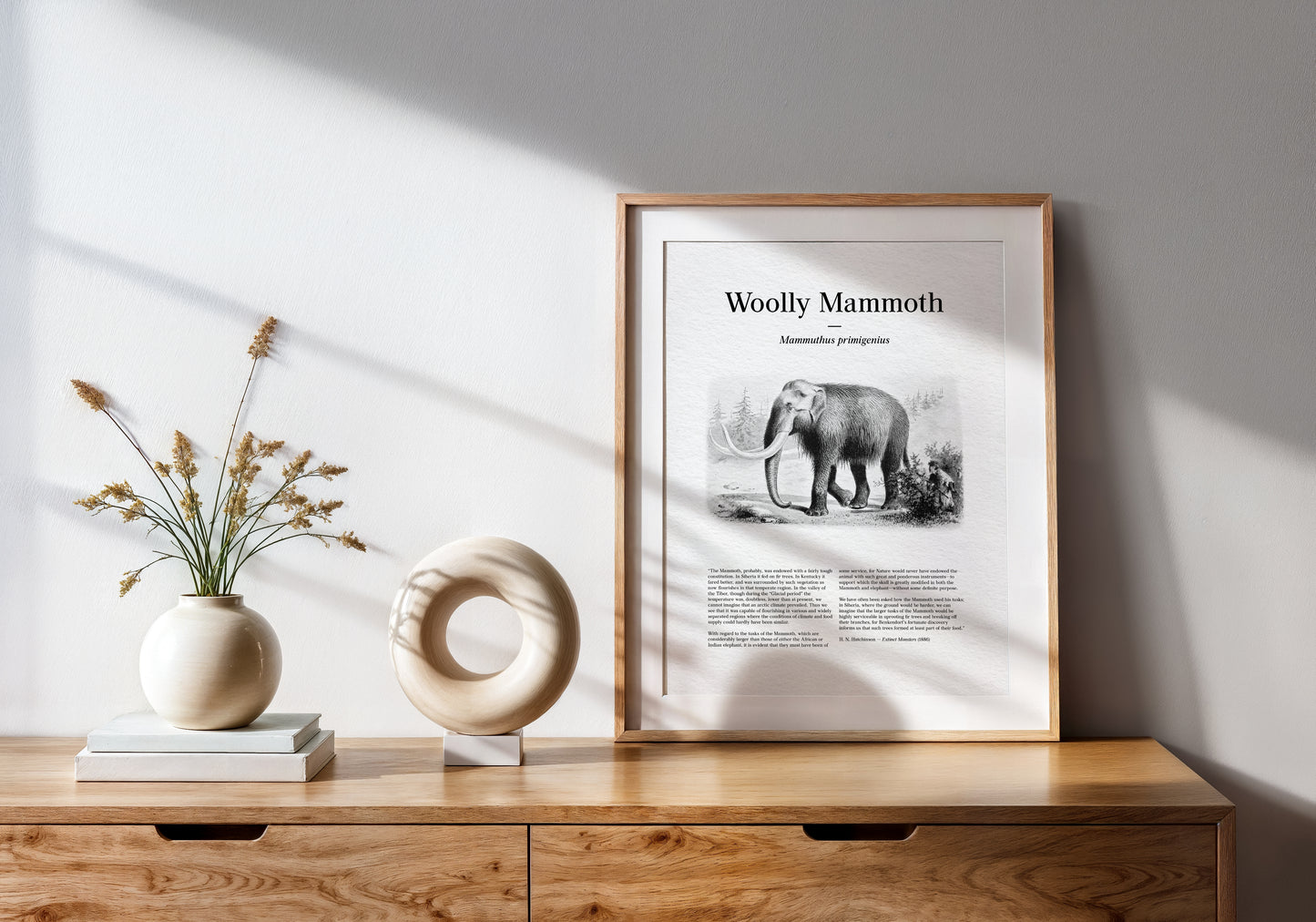 Woolly Mammoth | 1896