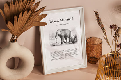 Woolly Mammoth | 1896