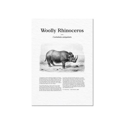 Woolly Rhinoceros | 1896