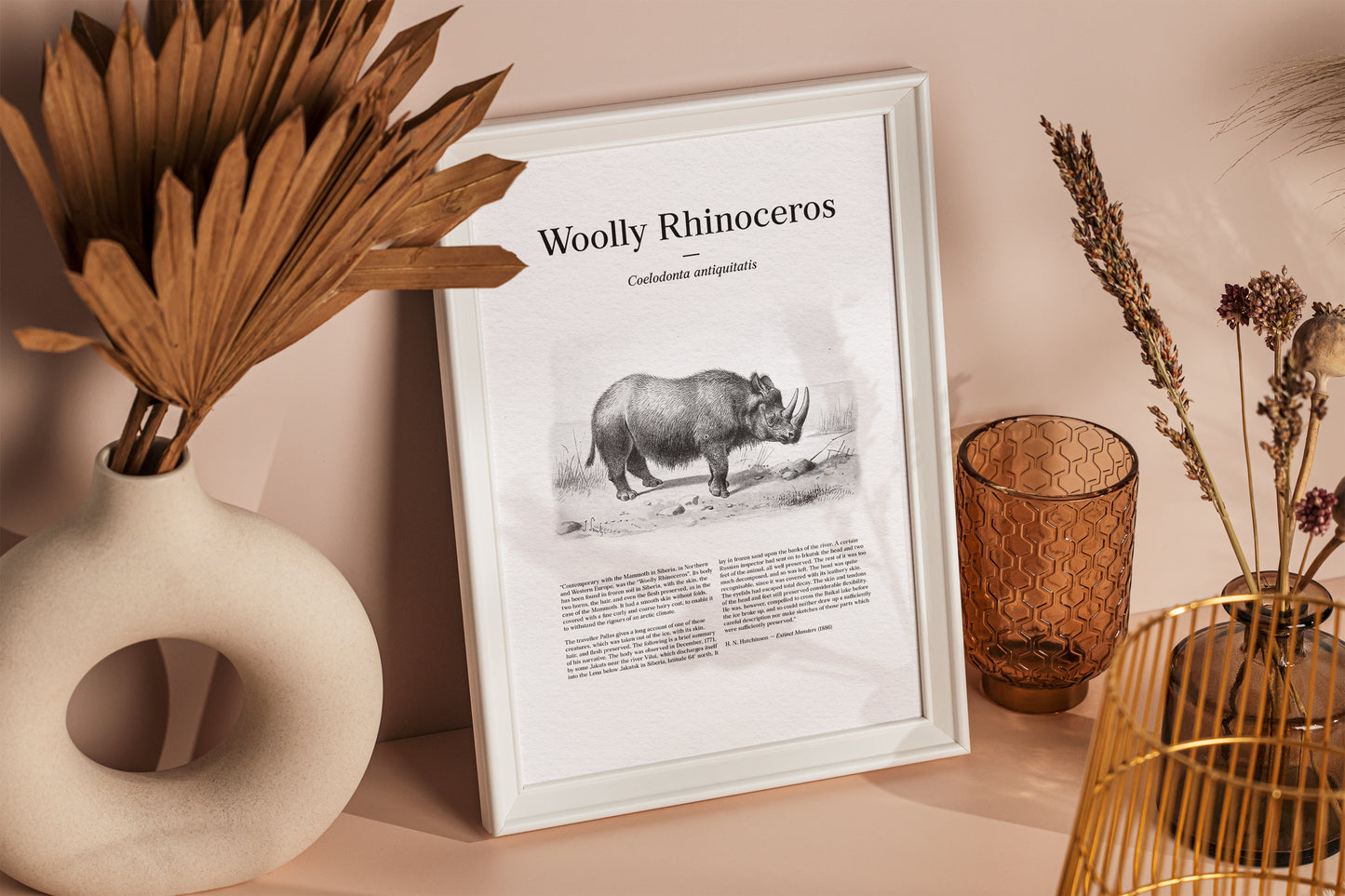 Woolly Rhinoceros | 1896