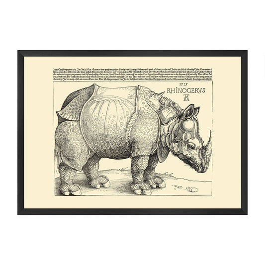 Framed vintage scientific illustration of Durer's edited rhinoceros on a beige background